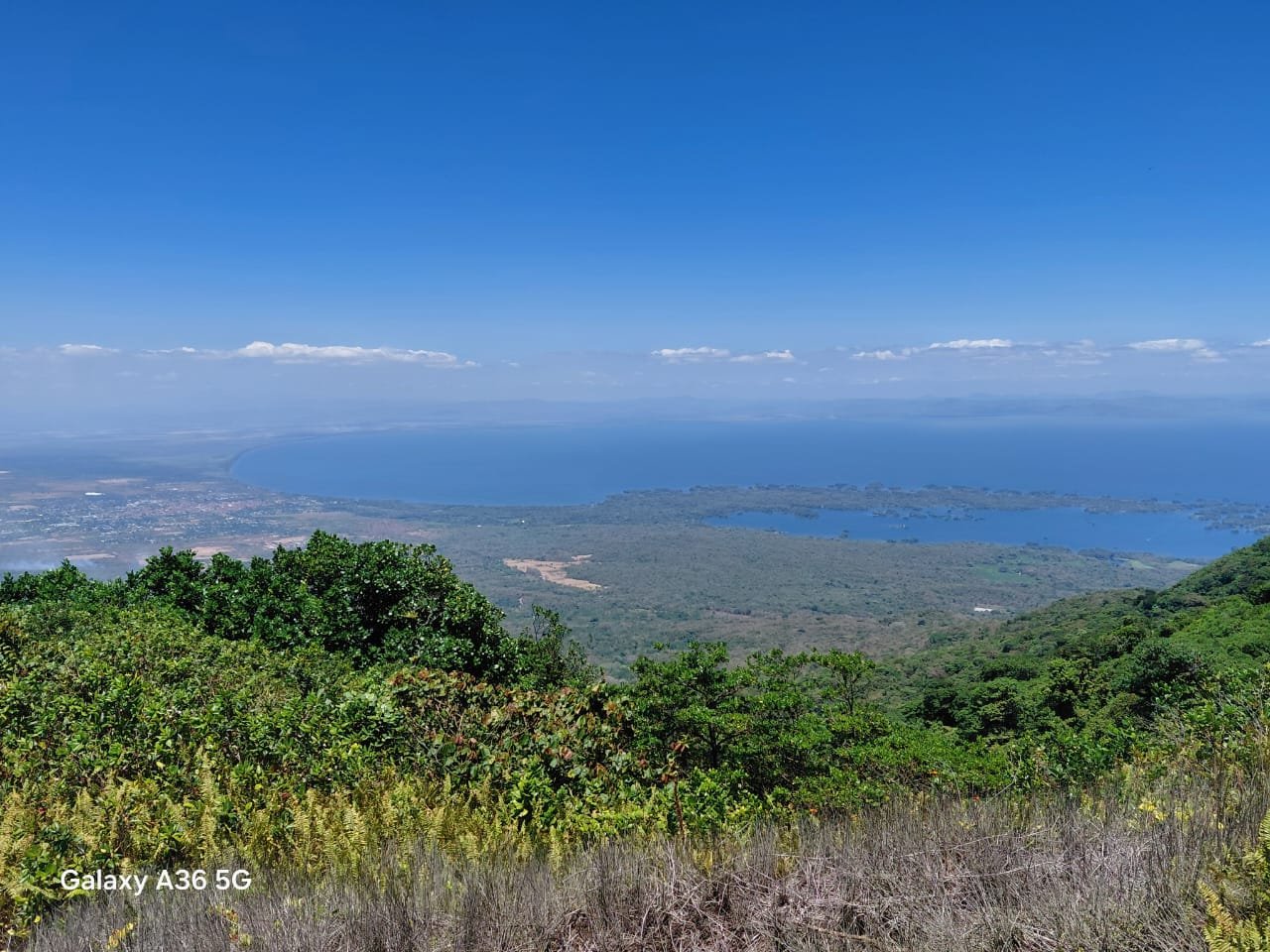 Mombacho Volcano Puma Trail Nicaragua